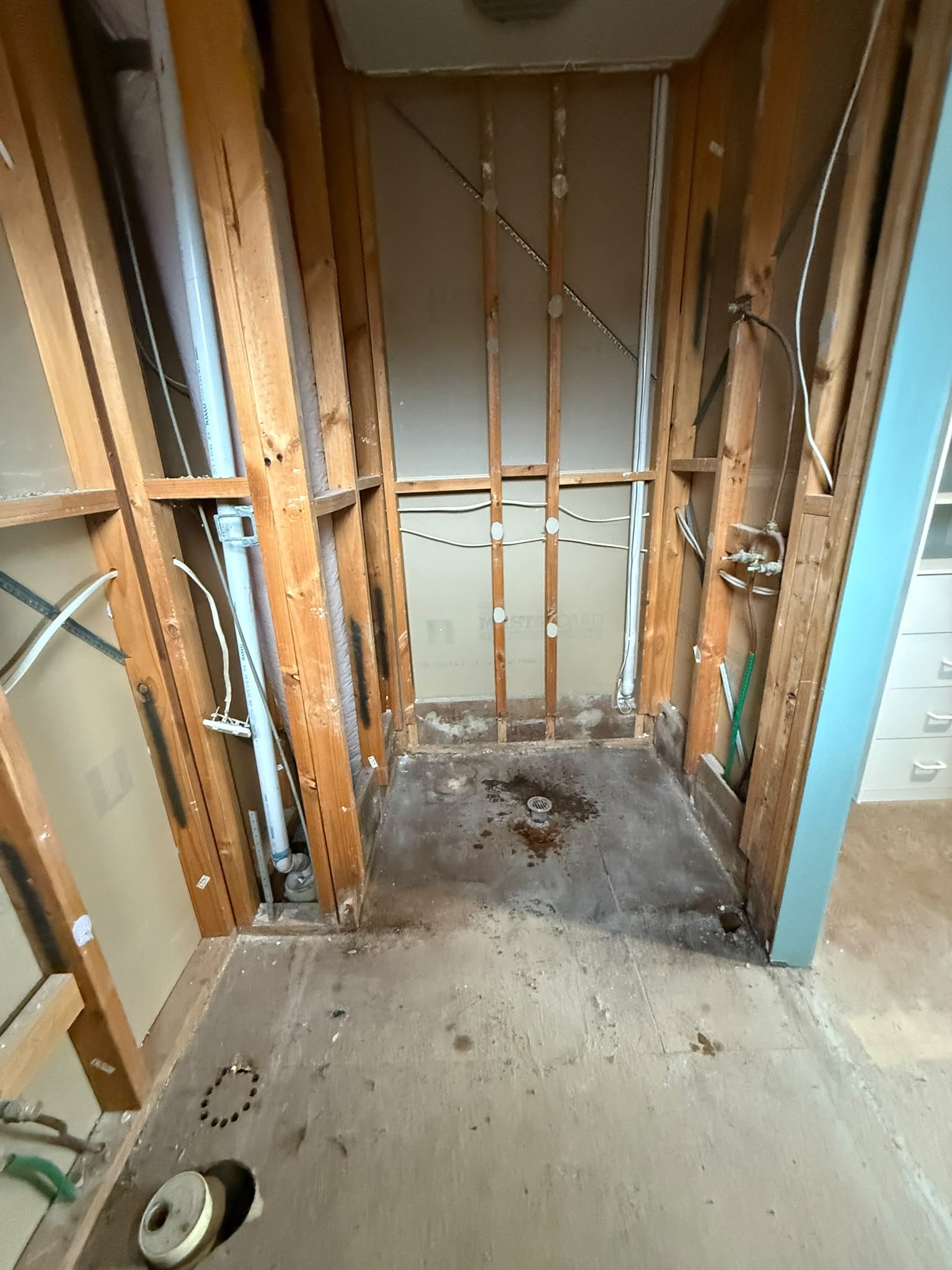 Kew Full-House Strip-Out — 2