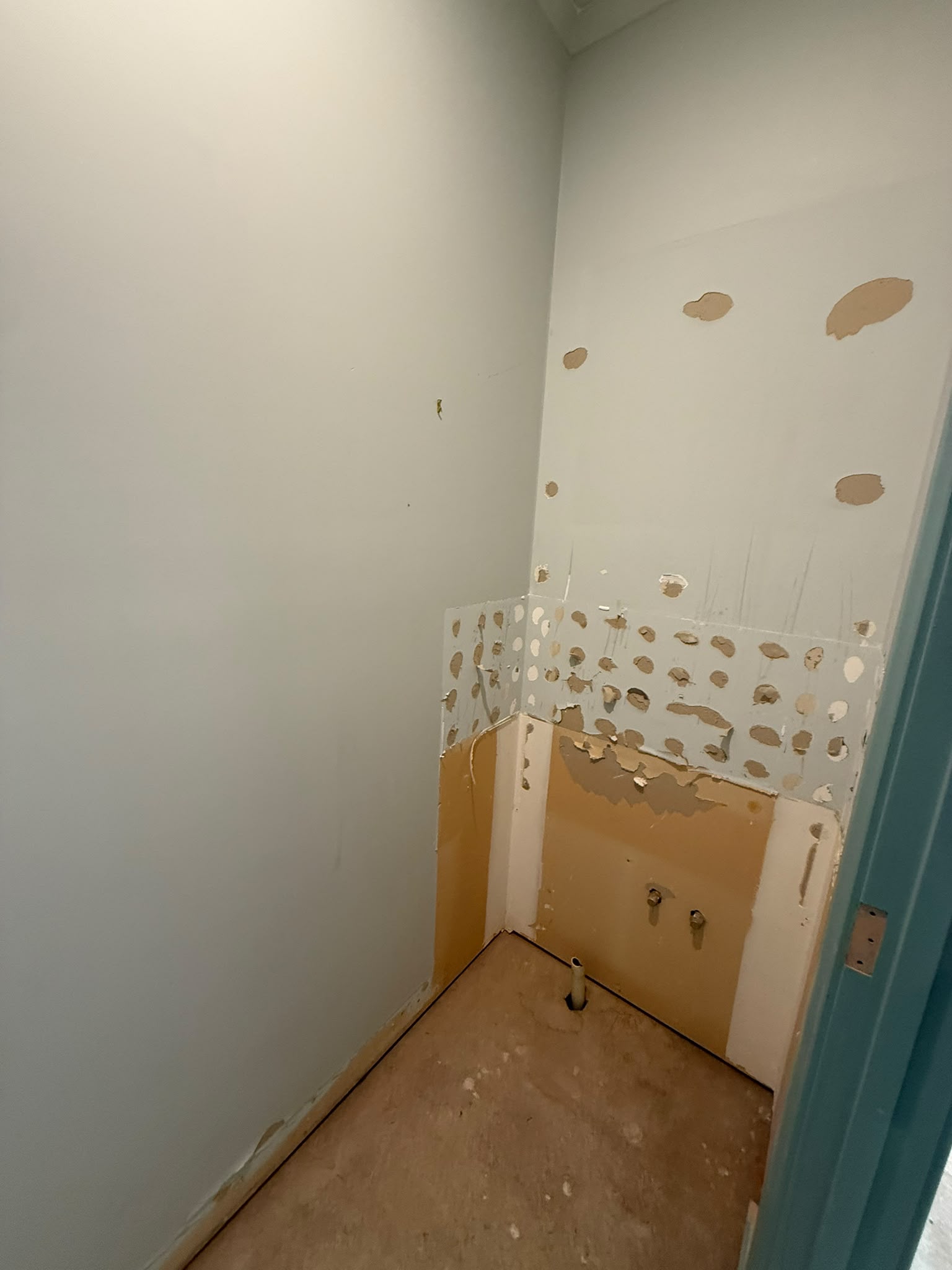 Kew Full-House Strip-Out — 4