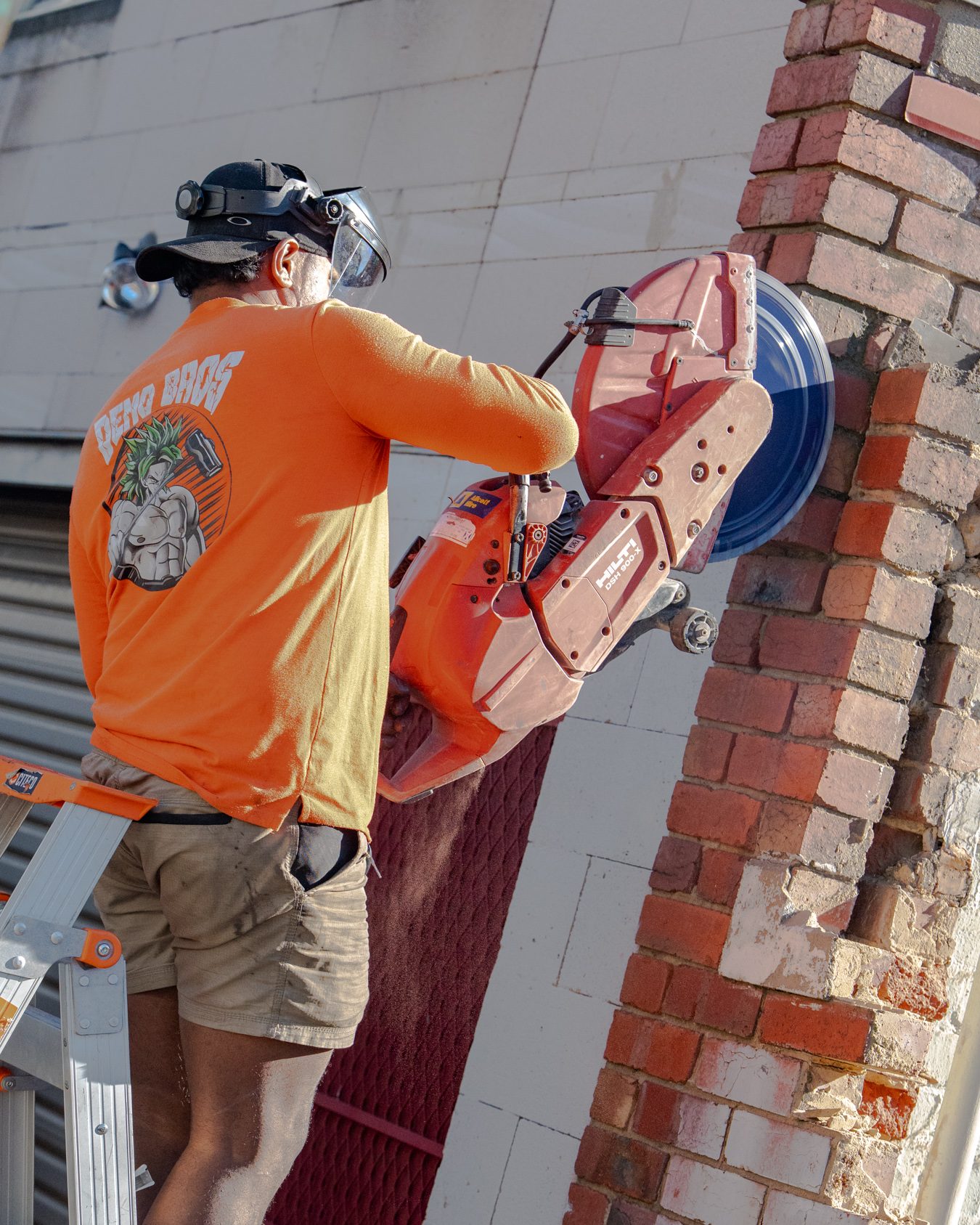 Partial Demolition — 2