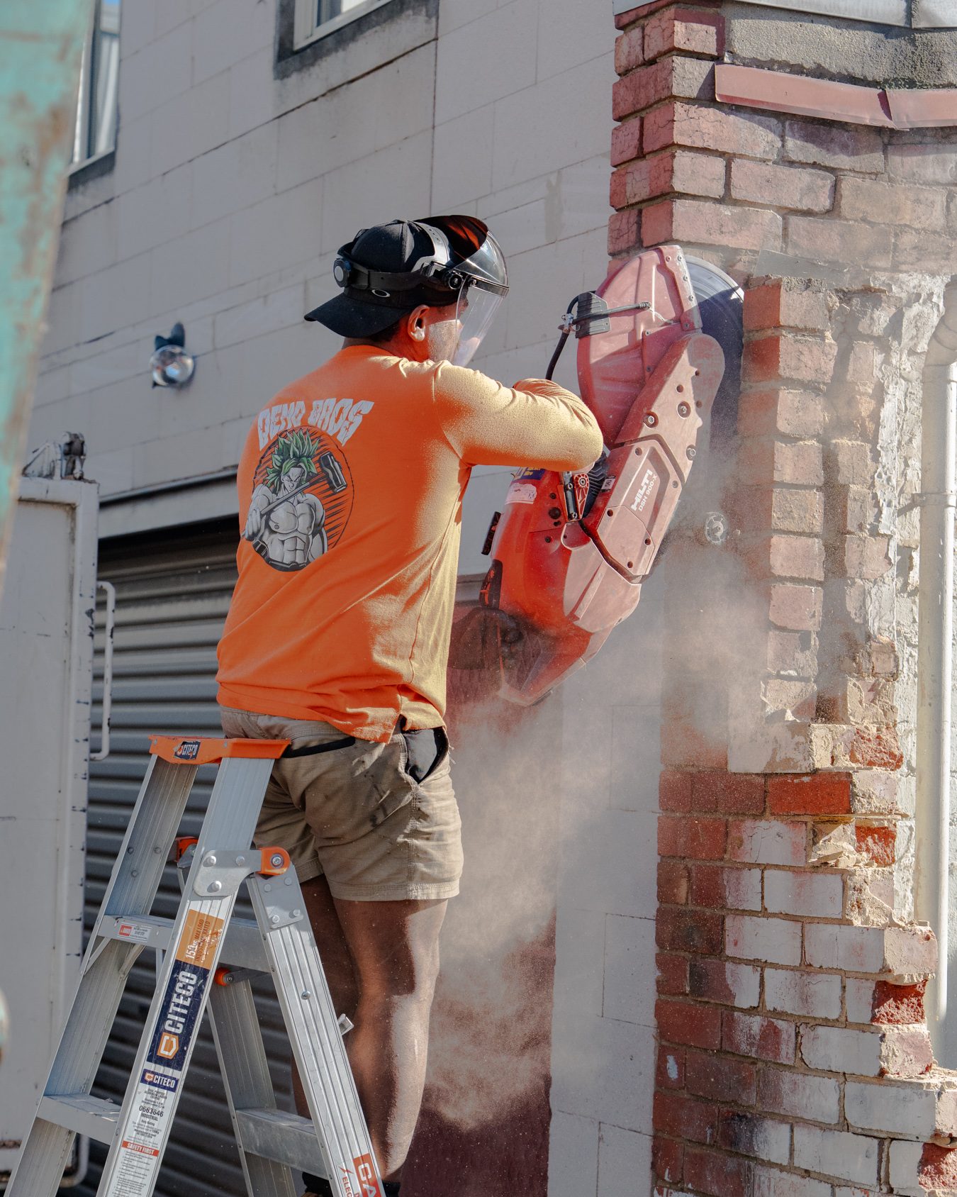 Partial Demolition